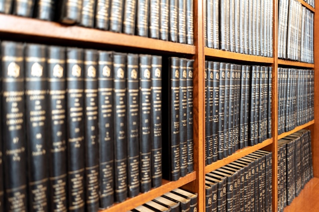 Lawyer Case Management System